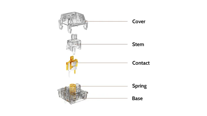Clione Limacina  Linear Switch structure diagram