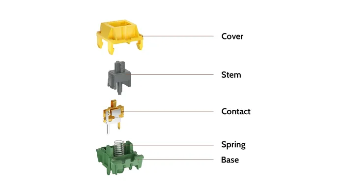 Canary Tactile Switch structure diagram
