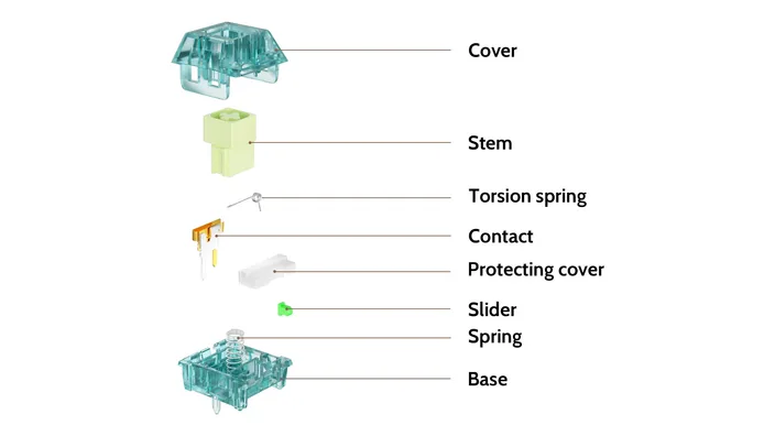 Box Summer Clicky Switch structure diagram