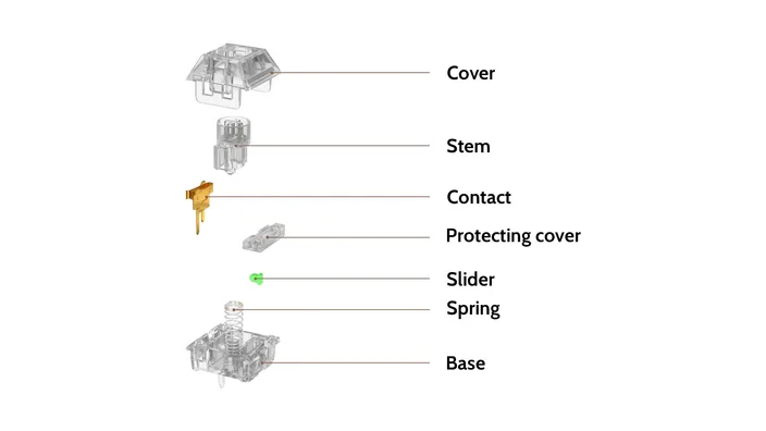 Jellyfish Y Box Switch structure diagram