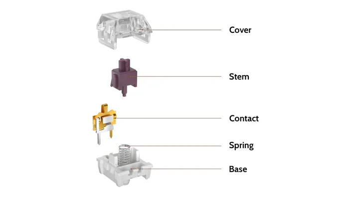 Pro Heavy Plum Switch structure diagram