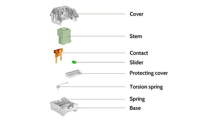 Box Thick Clicky Jade Switch structure diagram