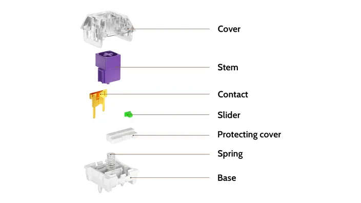 Crystal Royal Box Tactile Switch structure diagram