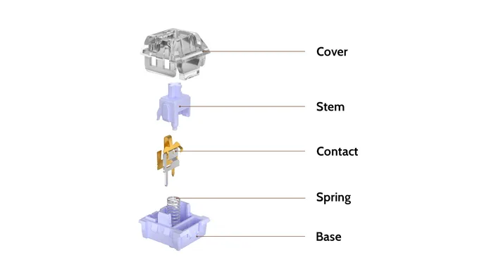 Polia Tactile Switch structure diagram