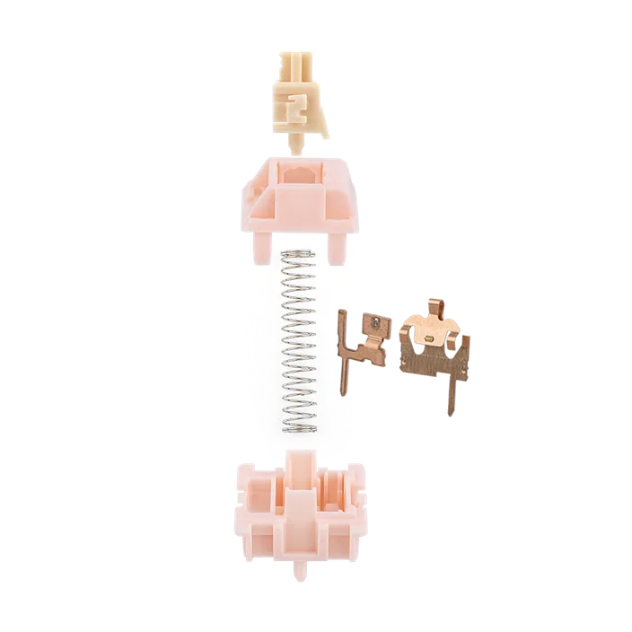 Nude Rosa Silent Switch structure diagram