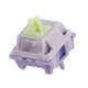 Wisteria Switches V2 image