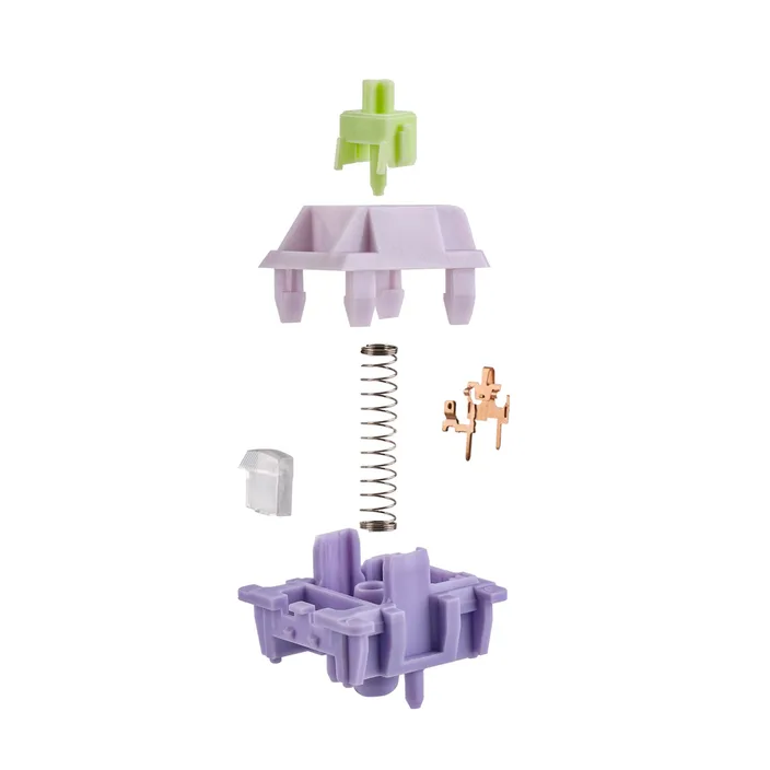 Wisteria Switches V2 structure diagram